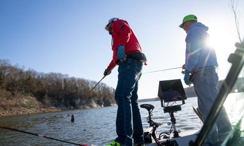 Crappie Fishing at Truman Lake: Why It Should Be Your Next Crappie Destination
